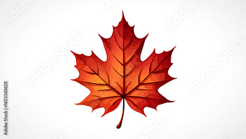 Red Maple Leaf isolated on White Background

