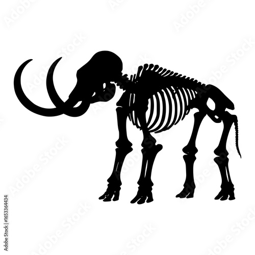 Mammoth Skeleton Silhouette: A striking, dark silhouette of a prehistoric mammoth skeleton, rendered with precise anatomical detail, evokes a sense of ancient history and scientific study.