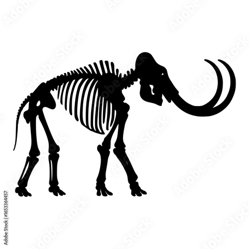 Mammoth's Silhouette: A detailed black silhouette of a mammoth skeleton, offering an intriguing glimpse into prehistoric life.