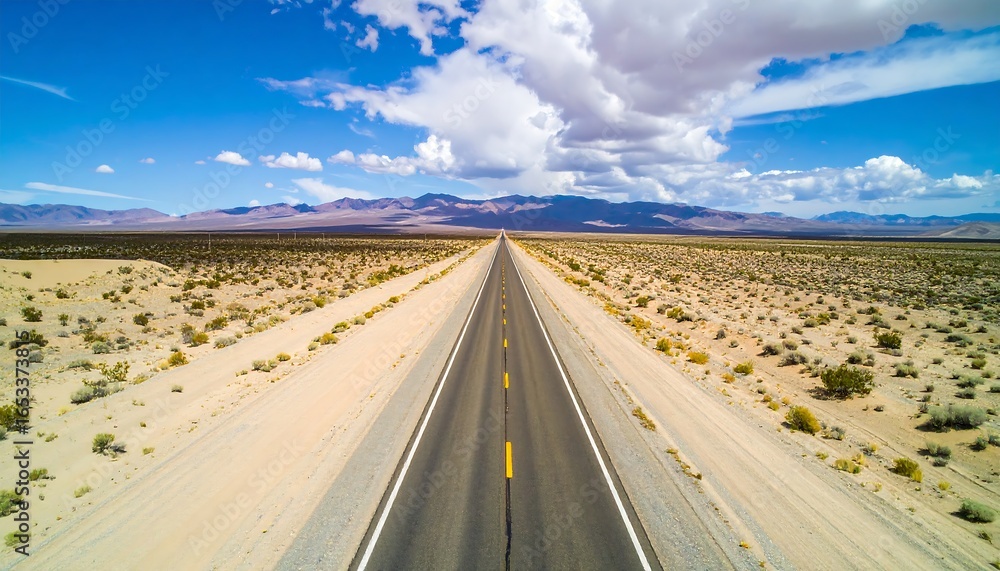 Fototapeta premium Straight highway through desert landscape