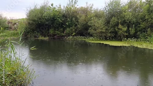 Calm river surrounded by lush greenery under rainy sky  