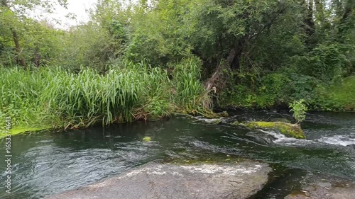Tranquil river flowing through lush green vegetation in nature  