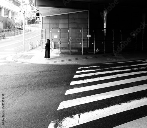 walking in the city, Tokyo