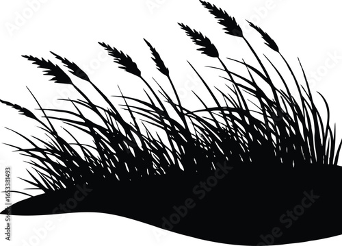 Beach Grass On Dunes Silhouette | Dune Beach Grass Vector Art