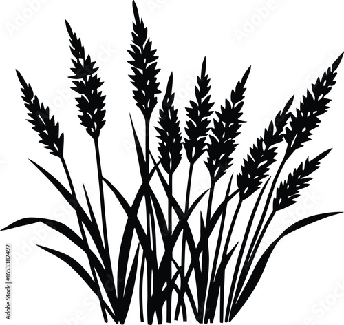 Grass With Goldenrod Stems Silhouette | Goldenrod Stems Grass Vector Design