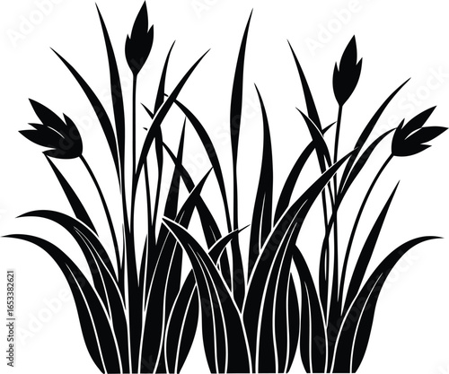 Grass With Lily Stems Silhouette | Lily Stems Grass Vector Illustration