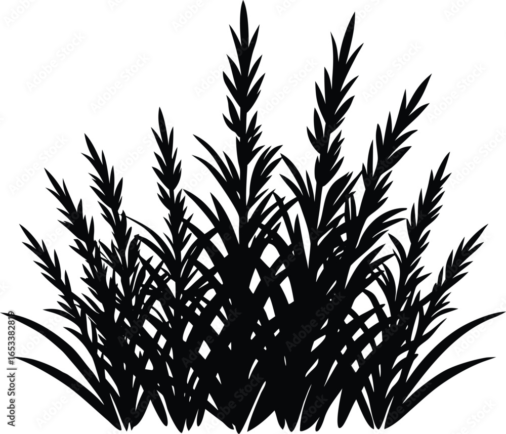 Obraz premium Grass With Rosemary Stems Silhouette | Rosemary Stems Grass Vector Illustration