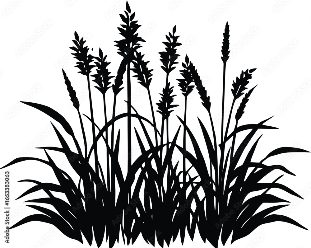 Obraz premium Grass With Wild Mint Silhouette | Wild Mint Grass Vector Clipart