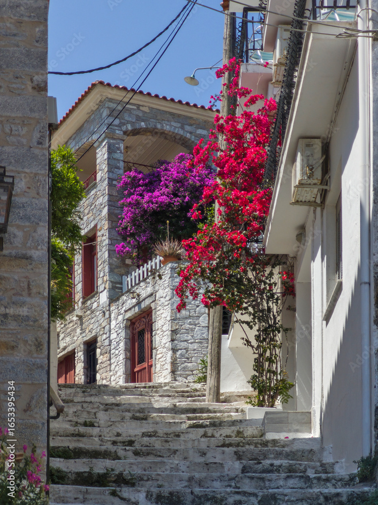 Naklejka premium The Old town of Skiathos, Sporades, Thessaly, Greece