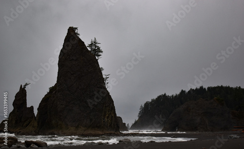 olympic peninsula beach 