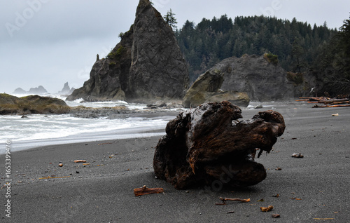 rocks on the beach in winter