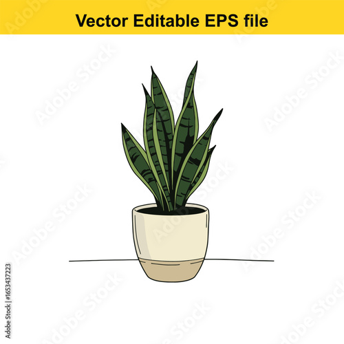 Illustration of a snake plant in a pot, isolated on white background