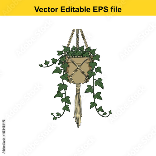 Hanging macrame plant pot with ivy, isolated on white background