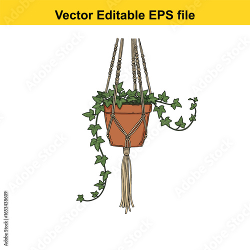 Macrame plant hanger with terracotta pot and ivy, isolated on white background