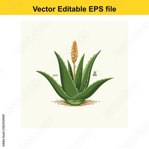 Aloe vera plant with flower stalk, isolated on white background