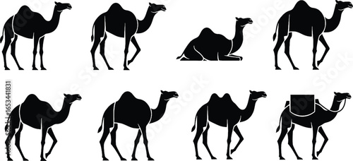 Collection of camel silhouettes in various poses.
