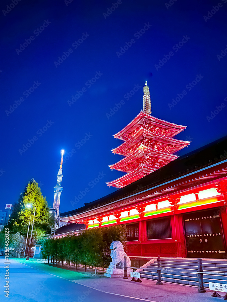 Fototapeta premium Tokyo, sightseeing, night, Asakusa, Sensoji Temple, TOKYO SKYTREE / 東京、観光、夜、浅草、浅草寺、スカイツリー