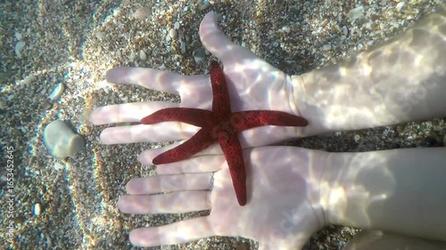 Hand Holding Red Starfish Underwater
