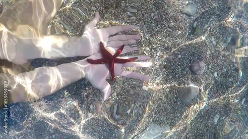 Starfish in Human Hand Underwater