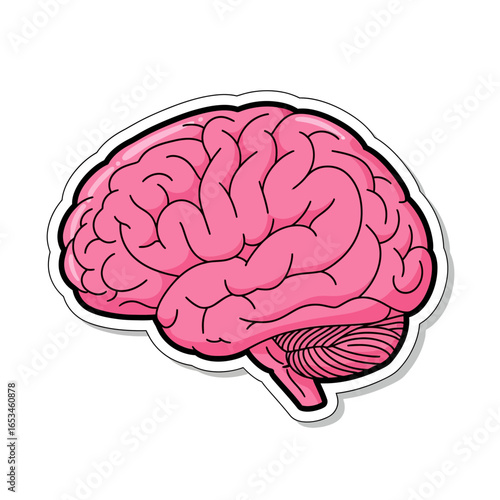 Cartoon illustration of a pink brain isolated on white background, representing intelligence, memory, learning, and the complex functions of the human mind and body