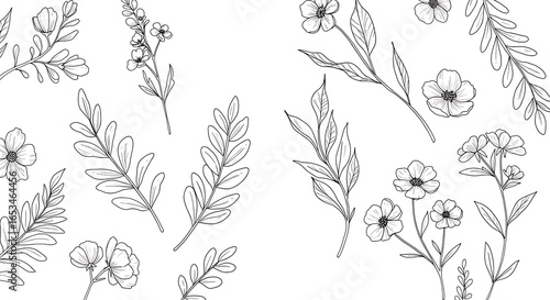 Elegant Line Art Floral Design: Botanical Illustrations of Flowers and Leaves, Minimalist Style, White Background