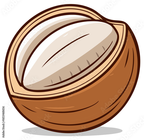 Cartoon illustration of a coconut cut in half showing the white pulp and brown shell