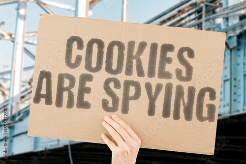 Wallpaper Mural “Cookies Are Spying” – End of third-party tracking. SURVEILLANCE. CONSENT. TRANSPARENCY. ENCRYPTION. COMPLIANCE. ANONYMITY. OPT-OUT. Torontodigital.ca