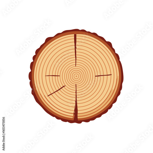 Vector illustration of a round wood slice showing tree rings and bark