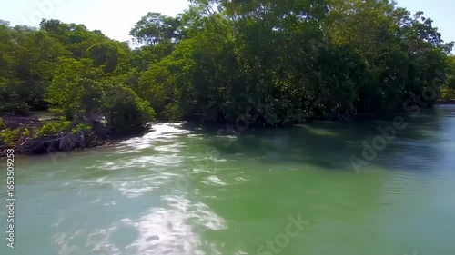 Lush green tropical forest meets a calm river