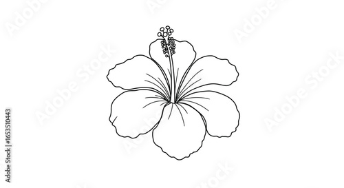 A simple black and white line drawing of a single hibiscus flower with detailed petals and stamen.