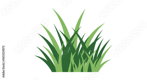 Vibrant Green Grass Illustration for Website Design, UI Elements and Environmental Graphics. Showcasing nature-inspired design elements and decorative accents for various creative projects.