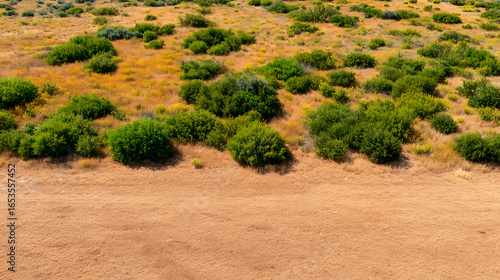 aerial view patchy dry grass interspersed with vibrant green tufts. natural landscape texture earth resilience in drought conditions. uneven terrain highlights seasonal changes, arid summer