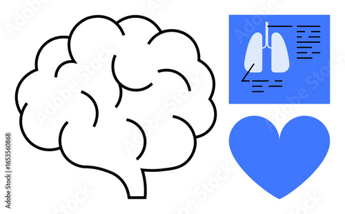 Brain outline, blue heart shape, lungs diagram on medical chart. Ideal for health, medical research, anatomy, wellness, education, diagnosis and simple landing page