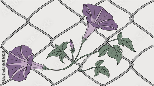 Morning glory flowers climbing on chain link fence illustration vector art graphic design image
