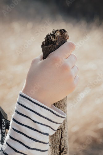 boy's hand holding on tight to a stick used as a walking stick