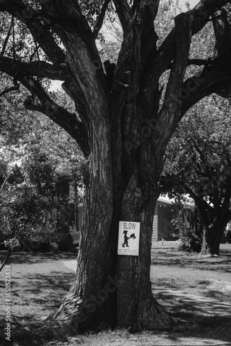 a hand drawn sign warning drivers to slow down for playing children hanging on a tree trunk in black and white, child with cowboy hat on hobby horse