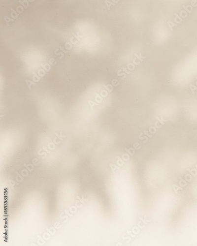 Wallpaper Mural Elegant contemporary natural light shadow on wall and table top for organic beauty cosmetic and skin care product display background Torontodigital.ca