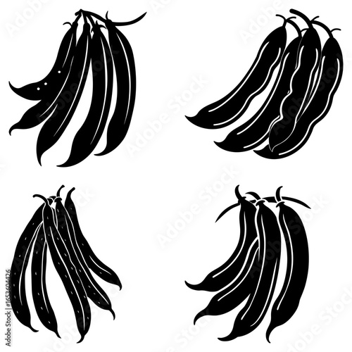 Four bunches of black and white string beans are displayed on a white background in this vector art