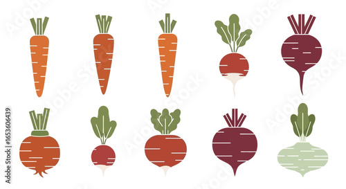 Vegetable illustrations of carrots and beets