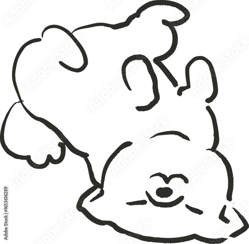 仰向けで寝転がる柴犬のイラスト　犬のイラスト