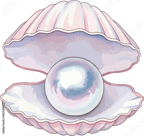 seashell pearl watercolor marine illustration