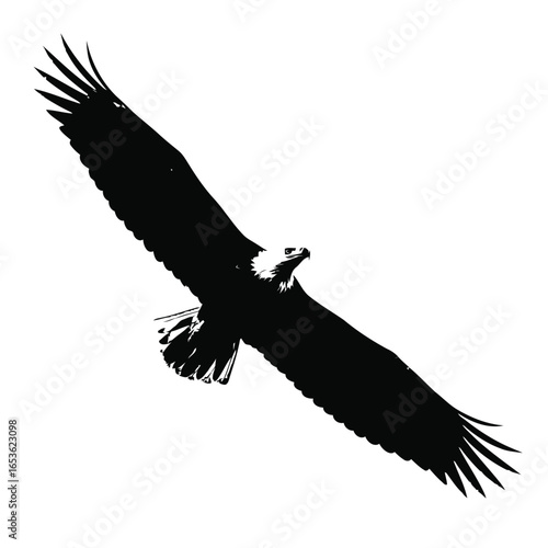Vector illustration of silhouette of a soaring eagle isolated on white background