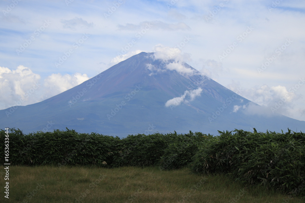 Obraz premium 登山道