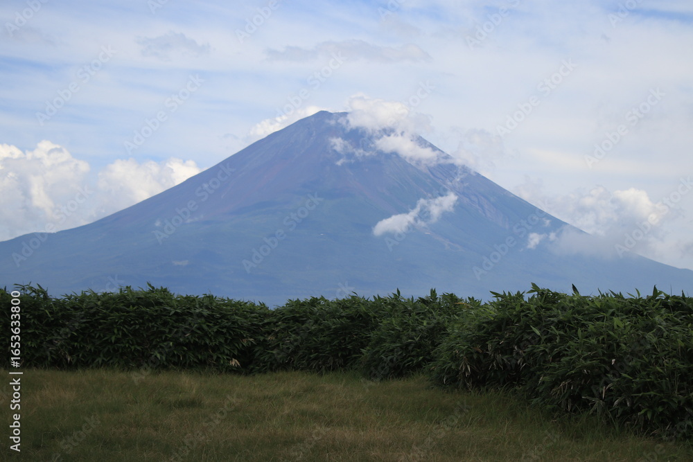 Fototapeta premium 登山道
