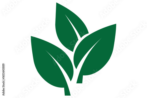 Leaf logo graphic design