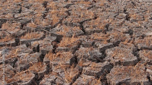 Closeup cracked soil with dry rice field drought season 