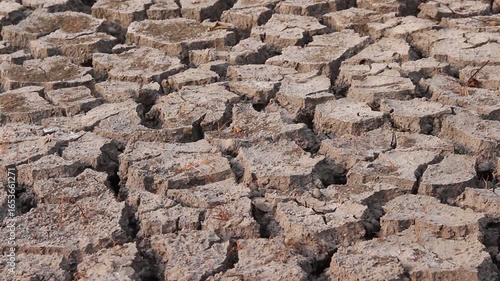 Cracked earth natural arid brown background