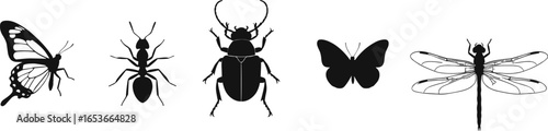Insect silhouettes vector, butterfly, dragonfly, beetle, ant illustration, wildlife insect design, nature drawing, 