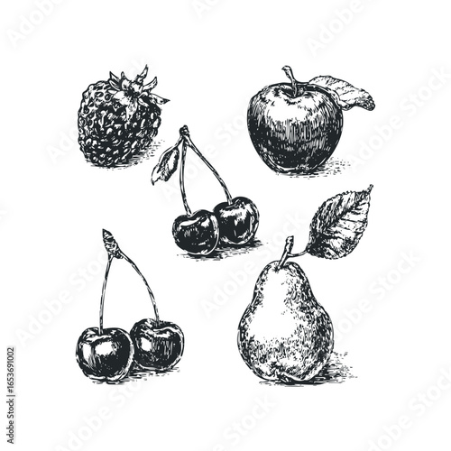 Hand Drawn Sketch of Assorted Fresh Fruit: Apple, Pear, Cherries, and Berry