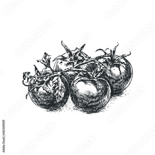 Hand Drawn Vintage Style Vine Tomatoes with Leaves